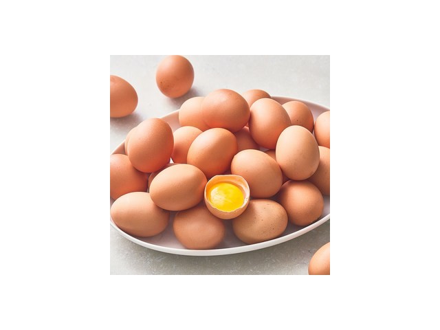 유정란30알 추천 필수 쇼핑 아이템 가격 비교