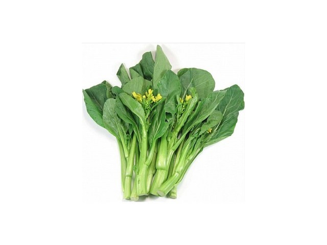 카이란 내돈내산 솔직 사용후기