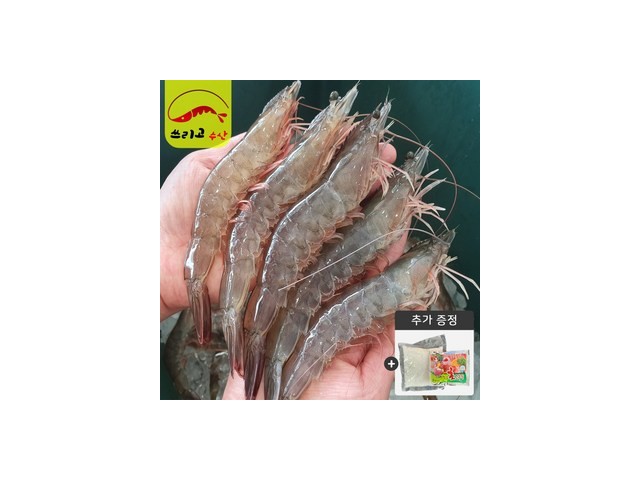 국내산왕새우1kg 최저가로 만나볼 수 있는 혜택