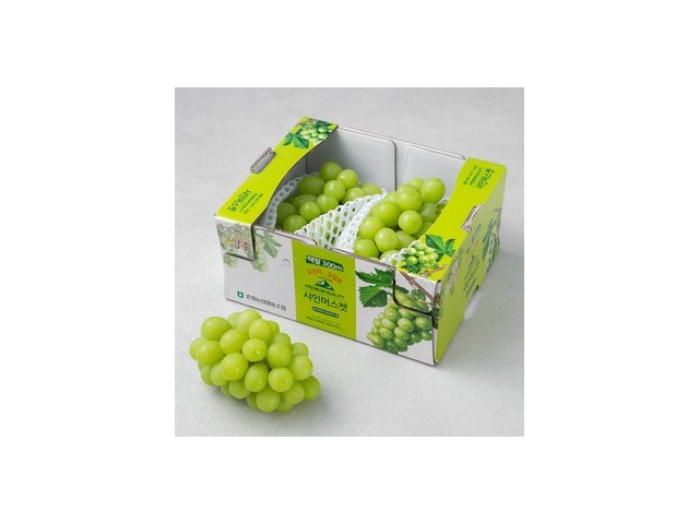 포도샤인머스켓 추천 이유 및 특징 정리