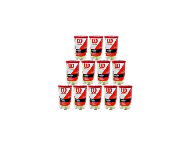 윌슨챔피언쉽24캔 추천 이유 및 특징 정리