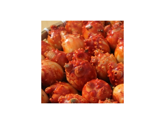 통영멍게택배 최고의 가치를 제공하는 상품